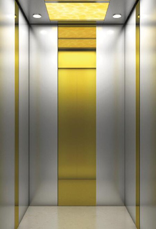 FUJI Home Elevator-FJ-VL01