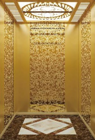 LG Passenger Elevator-P08