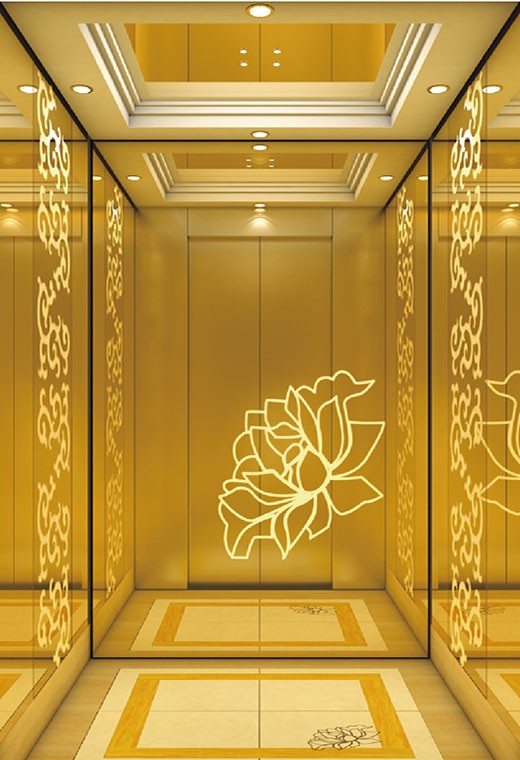 FUJI Home Elevator-FJ-VL07