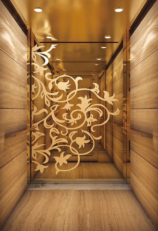 FUJI Home Elevator-FJ-VL09